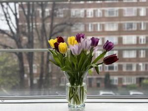 Photo 8- click for photo gallery